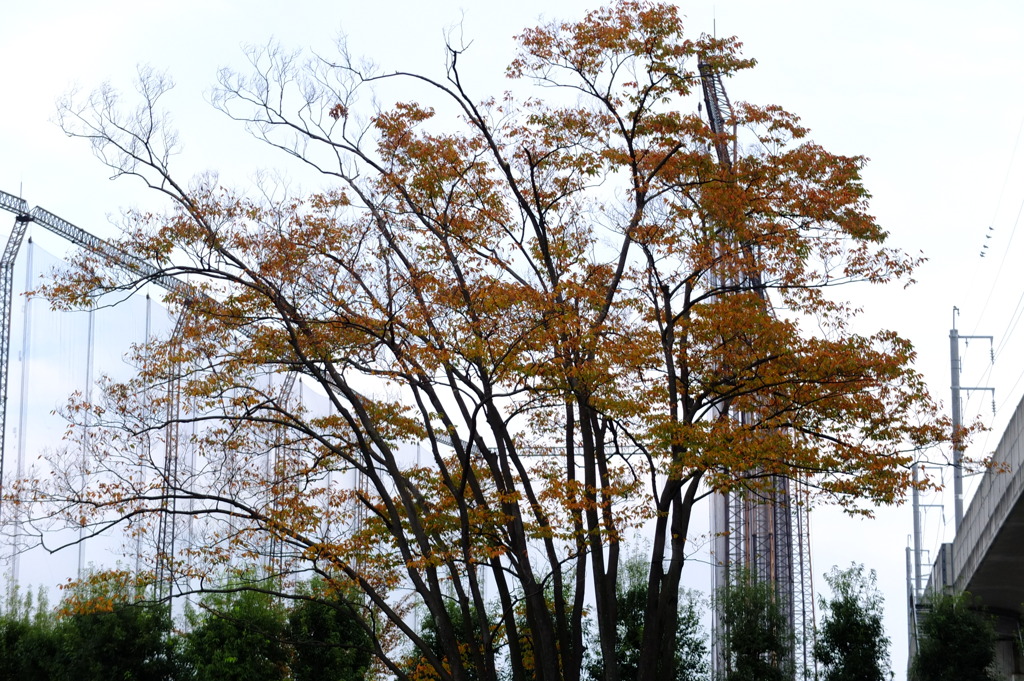 近所の公園で