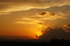 まさしく夕焼け