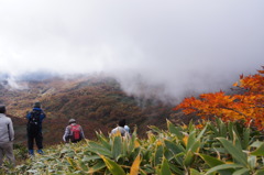 栗駒山中腹