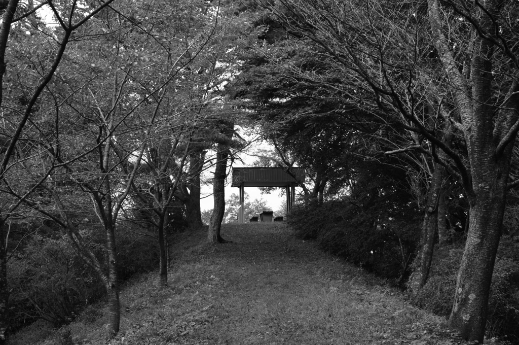 さびしいいいいいい