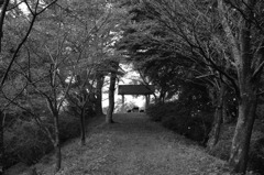 さびしいいいいいい