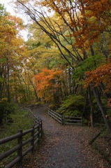 長老湖散策路