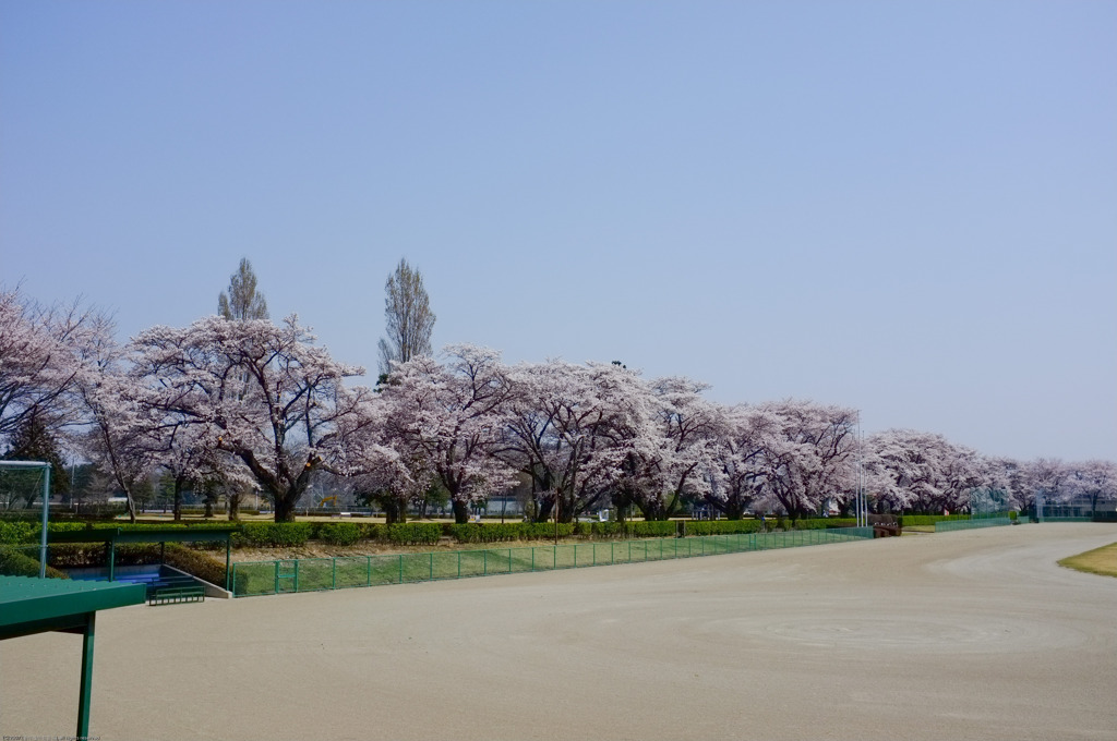 春の風景