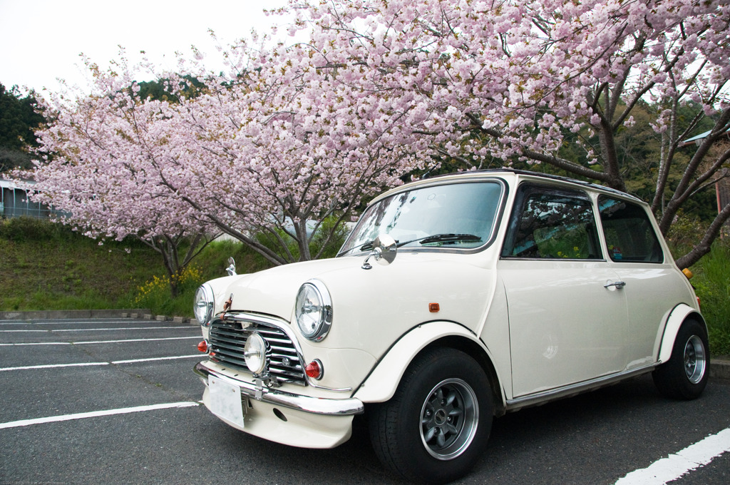mini