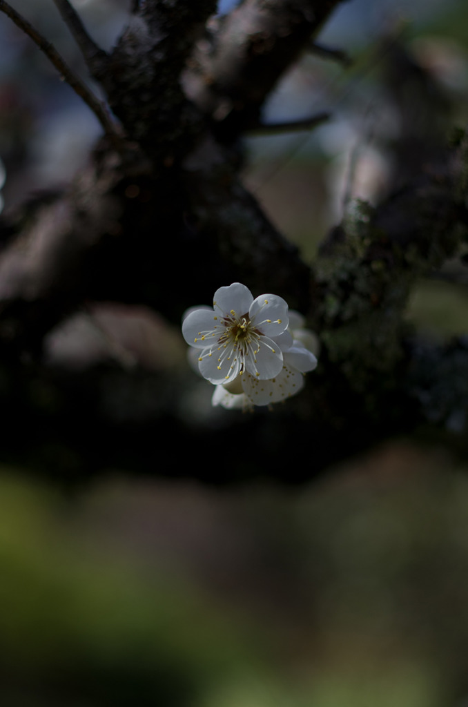 IMGP0641