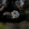 IMGP0641