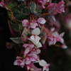 IMGP0759