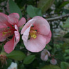 P1000037
