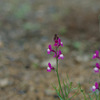 IMGP1638