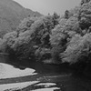 R0010868