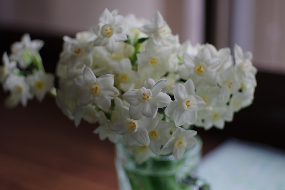 FA43mmF1.9 Limited