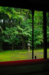 高桐院2