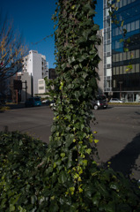 R0010485-Edit