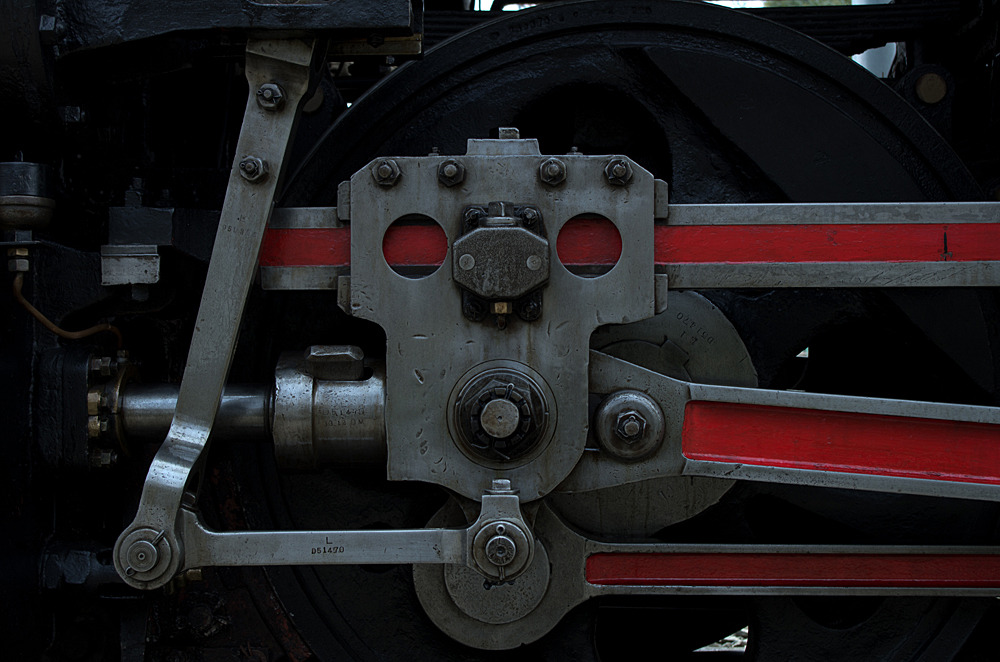 IMGP0055