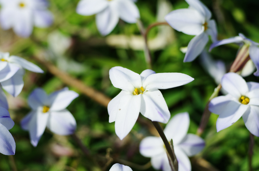 IMGP0861