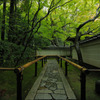 高桐院3