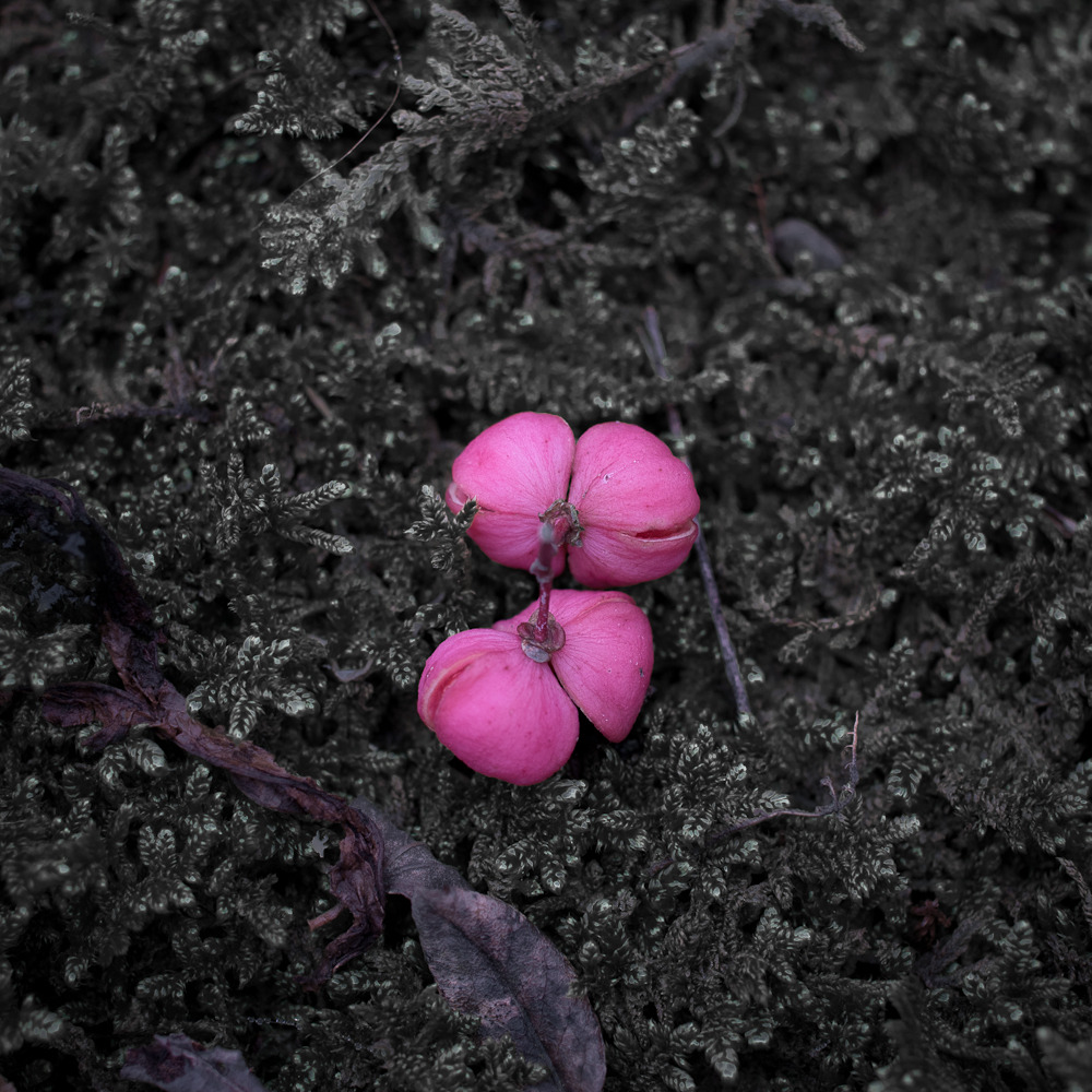 R0010694