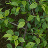 P1000022