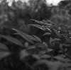 R0010350