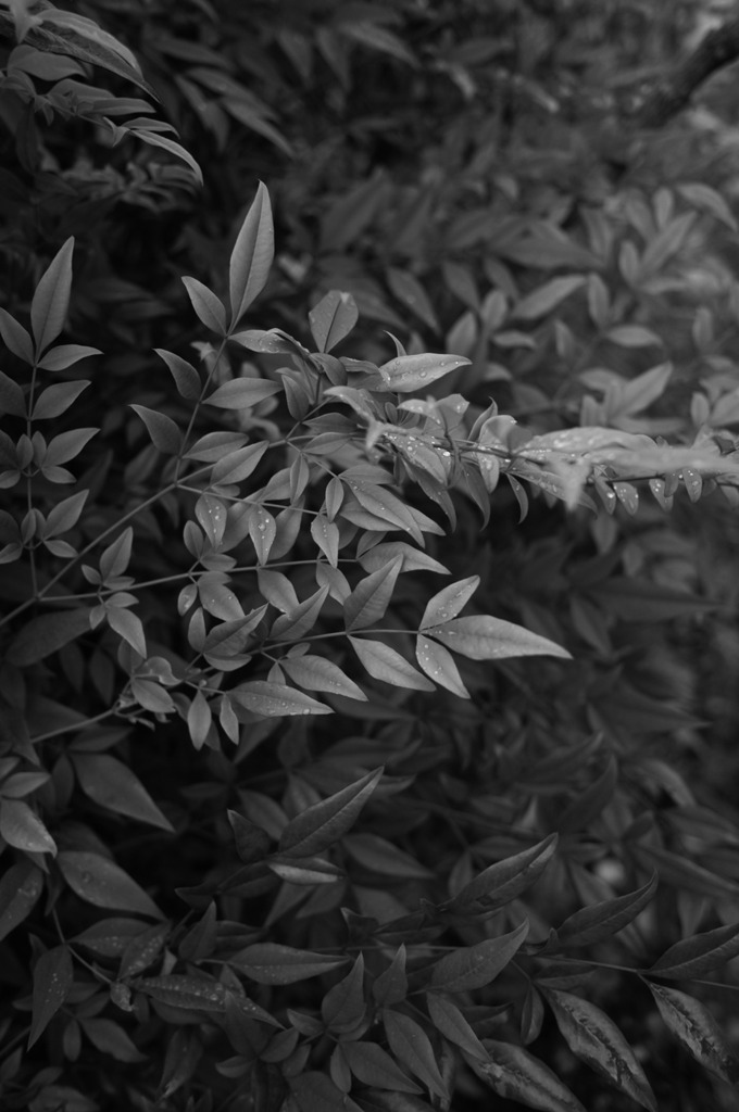 R0010330