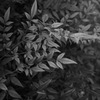 R0010330