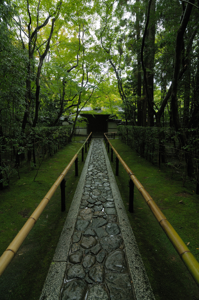 高桐院5