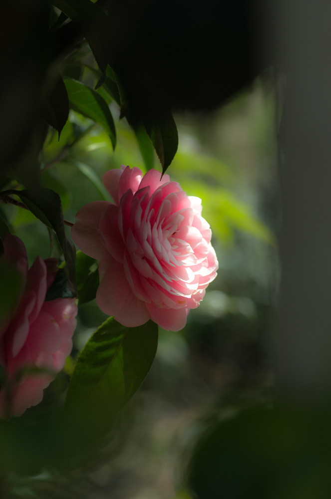 IMGP0829