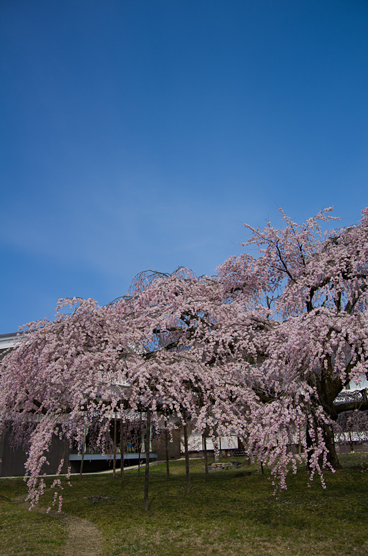IMGP0497