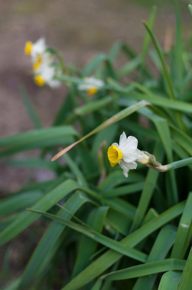 IMGP0774
