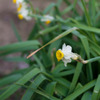 IMGP0774