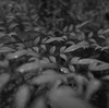 R0010351