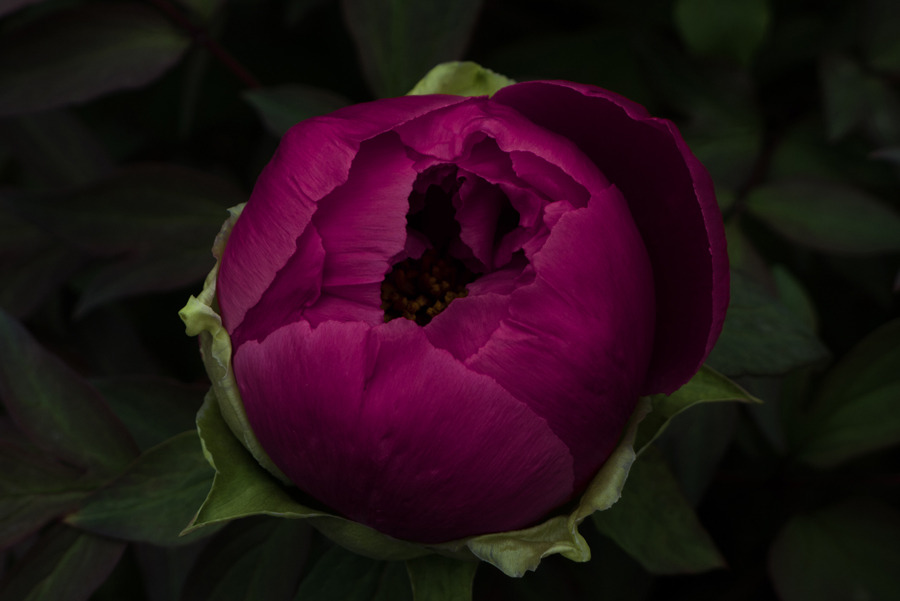 P1000049