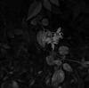 R0010348