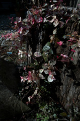 R0011349