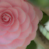IMGP0834