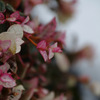 IMGP0761