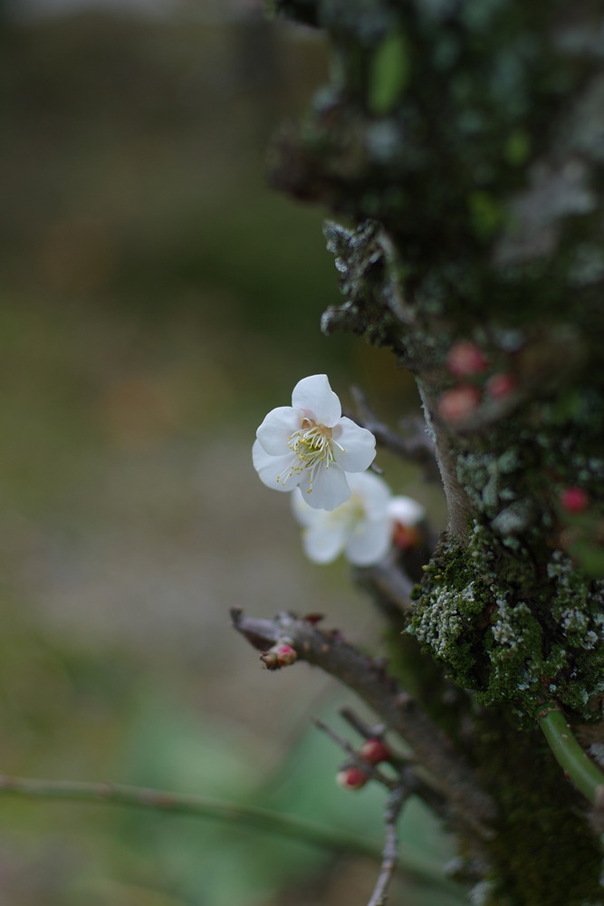 IMGP0190