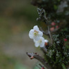 IMGP0190