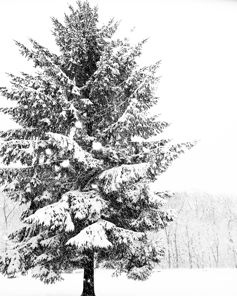 帳尻あわせに雪は降る