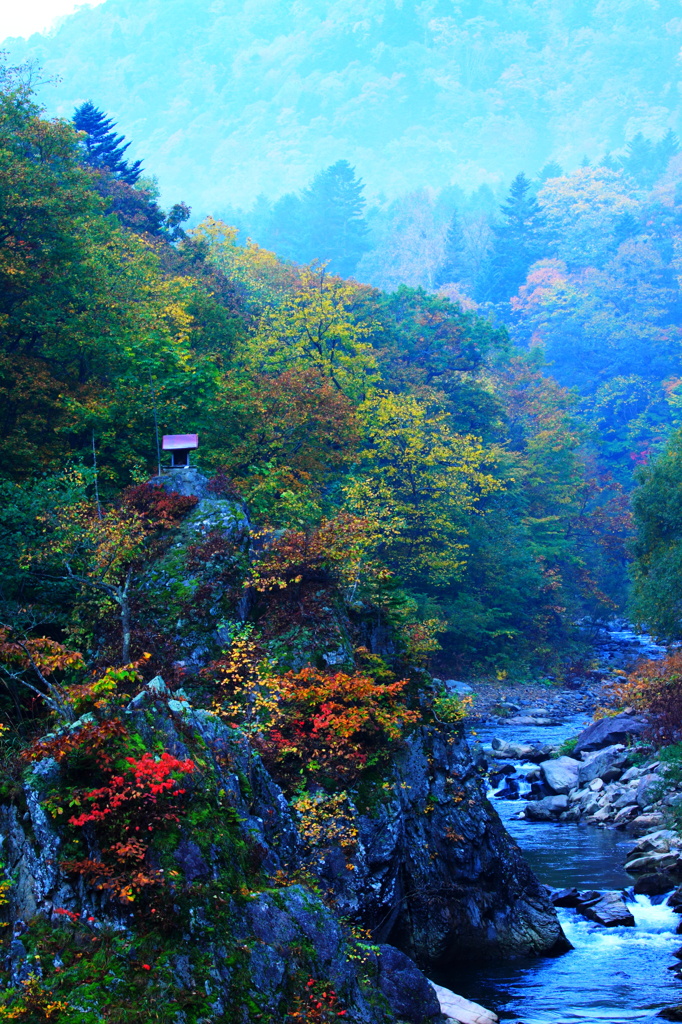 岩の上の祠