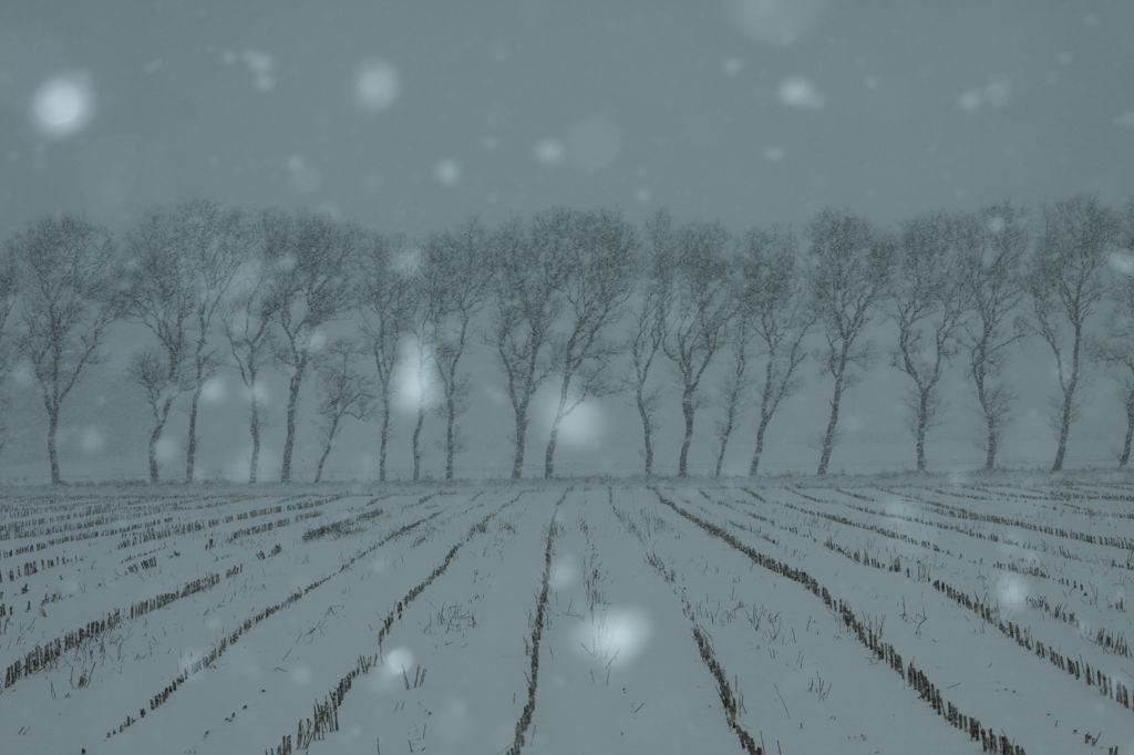 吹雪