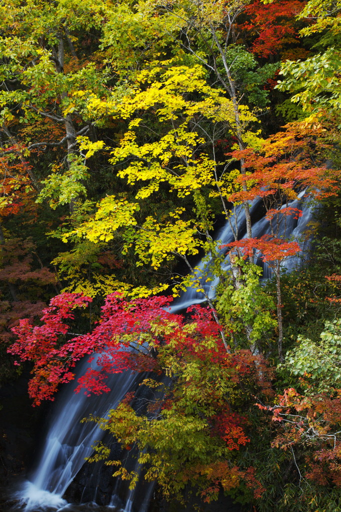 滝を抱く紅葉