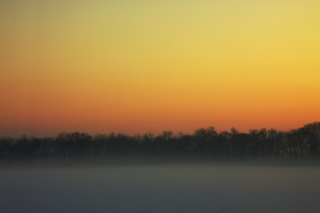 冬の夕霧