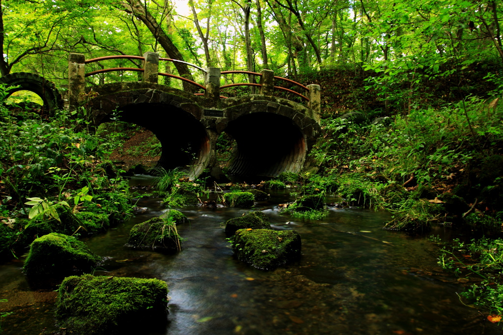 茂みの中のめがね橋