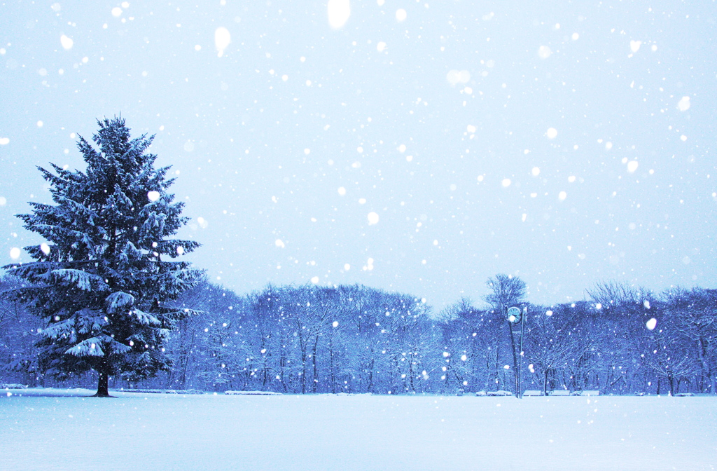 大雪の公園