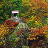 岩の上の祠