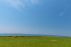 高い空　広い海　贅沢な牧場