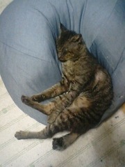 ズリ落ち・・・