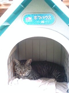 「アンタの家じゃないから；」