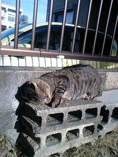 良い気持ち^^